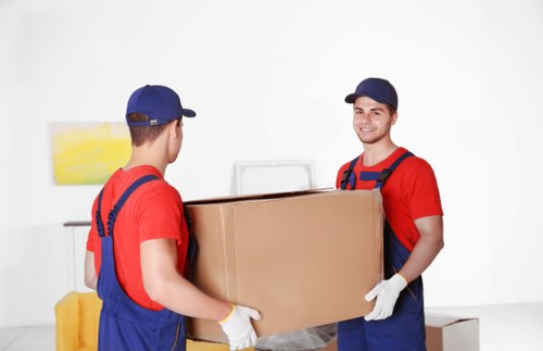 Professional Moving Team